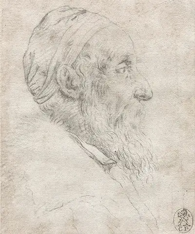 Self Portrait Drawing Titian